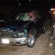 Illustration for article titled NSFW: Chevy Trailblazer Turns Deer Into Soup At 75 MPH
